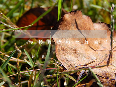 你我貸秒啦允許逾期3天(你我貸是否有三天延期)