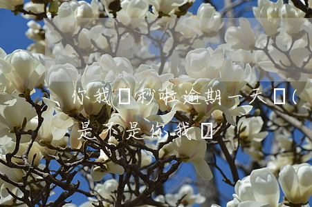 你我貸秒啦逾期一天沒(méi)事吧(秒啦是不是你我貸)