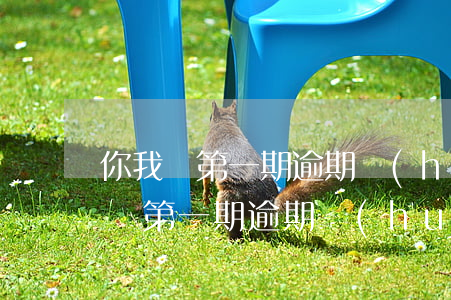 你我貸第一期逾期會(huì)怎么樣(你我貸第一期逾期會(huì)怎么樣)