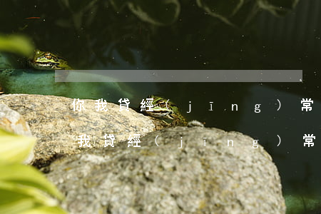你我貸經(jīng)常逾期還能再借嗎(你我貸經(jīng)常逾期還能再借嗎)