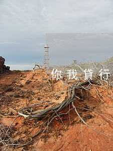 你我貸行逾期 你我貸行逾期