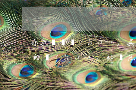 你我貸貸會(huì)真的起訴嗎(你我貸真的會(huì)起訴法院么)
