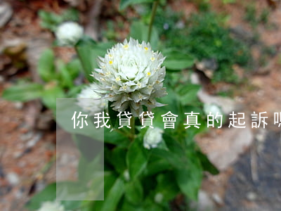 你我貸貸會真的起訴嗎(你我貸會不會真起訴)