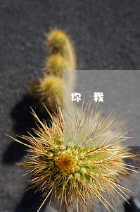 你我貸貸說我欠款惡意逾期