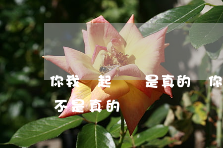 你我貸起訴書是真的嗎(你我貸說起訴到底是不是真的)