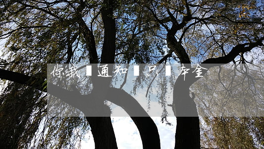 你我貸通知說只還本金
