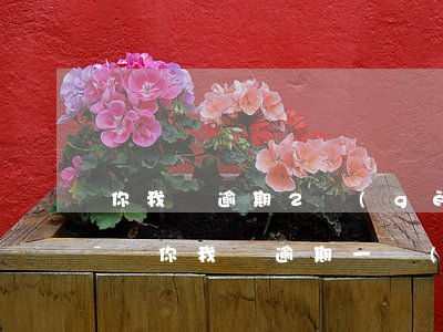 你我貸逾期2個(gè)月會(huì)怎樣(你我貸逾期一個(gè)月會(huì)不會(huì)影響到支付寶)