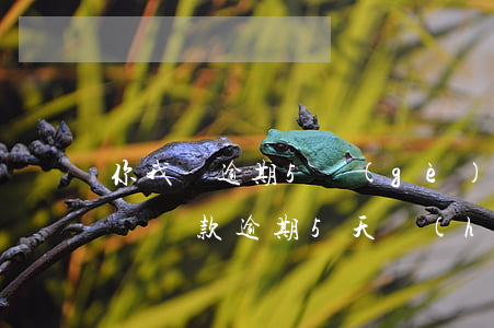 你我貸逾期5個(gè)月會(huì)怎樣(貸款逾期5天會(huì)怎么樣)