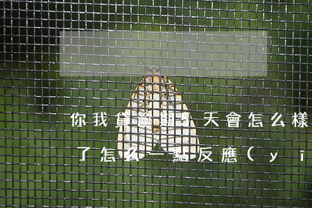 你我貸逾期5天會怎么樣(你我貸逾期一年多了怎么一點反應(yīng)都沒有?)