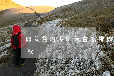 你我貸逾期5天會怎樣(你我貸5天了還沒下款)