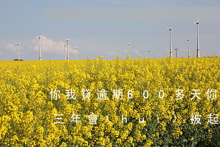 你我貸逾期600多天(你我貸欠一千多逾期三年,會(huì)被起訴嗎)