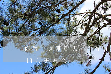 你我貸逾期6天會(huì)怎么樣(房貸逾期六天怎么辦)