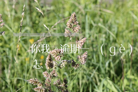 你我貸逾期一個(gè)半月會(huì)怎樣