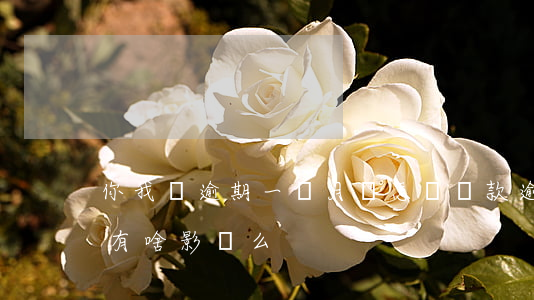 你我貸逾期一個月會怎樣(貸款逾期一個月了有啥影響么)