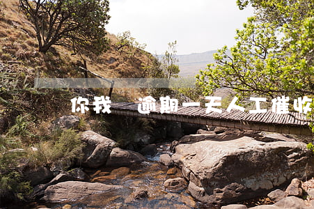 你我貸逾期一天人工催收嗎(逾期一天就催收)