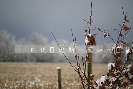 你我貸逾期一天如何還款(貸款逾期了一天)