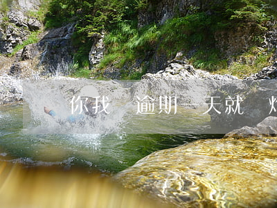 你我貸逾期一天就轟炸(你我貸催款)