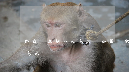 你我貸逾期一天怎么辦(如果貸款逾期了一天怎么辦)
