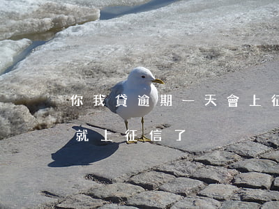 你我貸逾期一天會上征信么(逾期一天是不是就上征信了)
