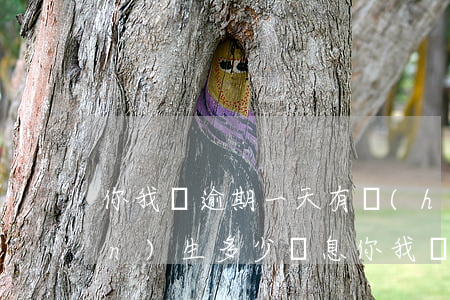 你我貸逾期一天有會(huì)產(chǎn)生多少罰息(你我貸罰息一天多少錢(qián))
