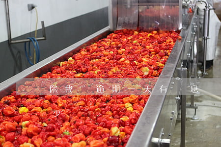 你我貸逾期一天有罰息嗎(你我貸罰息一天多少錢)