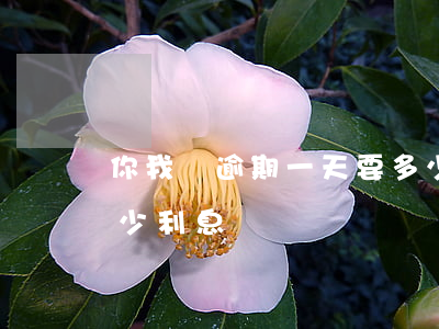 你我貸逾期一天要多少利息(貸款逾期一天多少利息)
