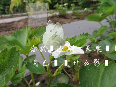 你我貸逾期一天要緊嗎(你我貸逾期三天會給自己帶來什么影響)