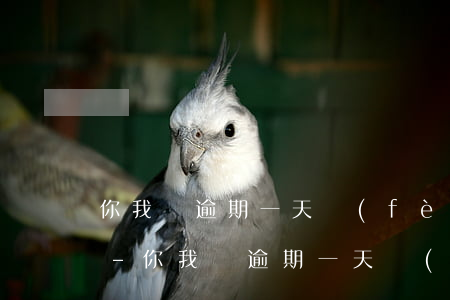 你我貸逾期一天費(fèi)用大概是多少-你我貸逾期一天費(fèi)用大概是多少錢