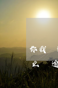 你我貸逾期七千多會怎么樣(你我貸逾期會怎么樣?逾期后果嚴(yán)重嗎?)