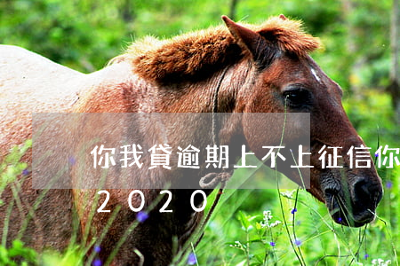 你我貸逾期上不上征信(你我貸竟然上征信了2020)