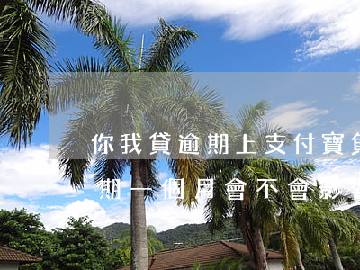 你我貸逾期上支付寶負(fù)面(你我貸逾期一個月會不會影響到支付寶)