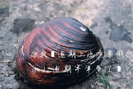 你我貸逾期上法院案例(你我貸已經(jīng)逾期半年多了,現(xiàn)在說(shuō)要起訴我)