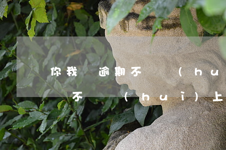 你我貸逾期不還會(huì)上征信嗎(你我貸不還會(huì)上征信嗎?)