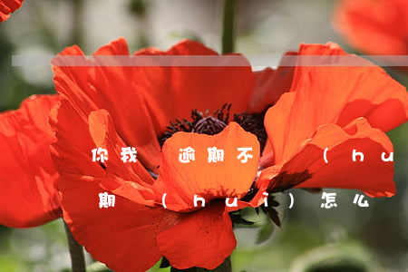 你我貸逾期不還會(huì)怎樣(你我貸逾期會(huì)怎么樣?逾期后果嚴(yán)重嗎?)