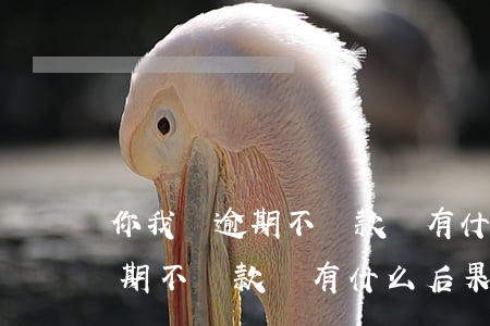 你我貸逾期不還款會有什么后果-你我貸逾期不還款會有什么后果嗎
