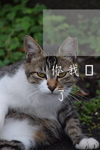 你我貸逾期了一年上征信(你我貸竟然上征信了)