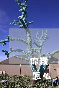 你我貸逾期了平臺怎么處理(平臺貸款逾期了怎么辦)