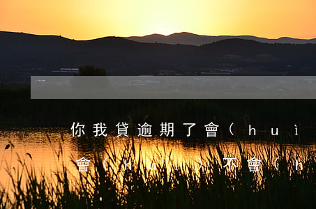 你我貸逾期了會(huì)上征信嗎(你我貸會(huì)不會(huì)上征信)
