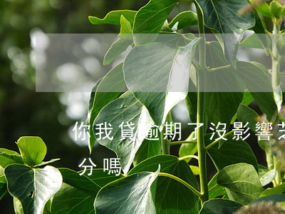 你我貸逾期了沒影響芝麻分(你我貸影響芝麻分嗎)