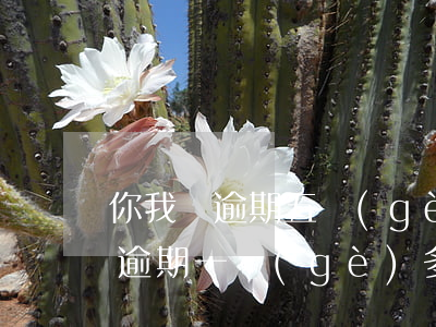 你我貸逾期五個(gè)月要起訴我(你我貸逾期一個(gè)多月了發(fā)律師函是不是真的)