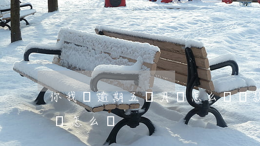你我貸逾期五個月會怎么樣(貸款逾期五個月會怎么樣)