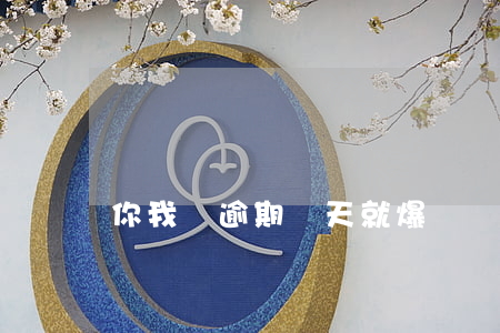 你我貸逾期兩天就爆