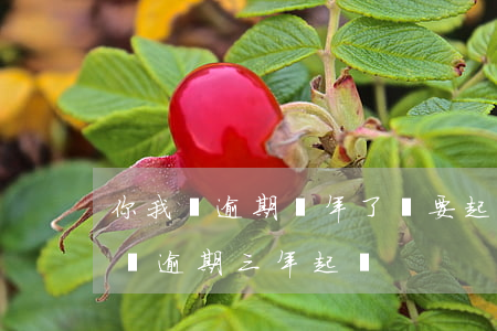 你我貸逾期兩年了說要起訴我可以信嗎（你我貸逾期三年起訴）