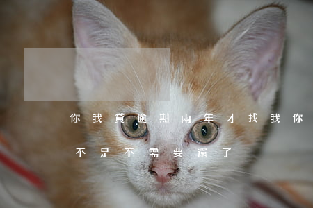 你我貸逾期兩年才找我(你我貸逾期兩年了是不是不需要還了?)