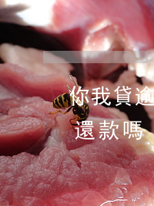 你我貸逾期兩次還能加貸(你我貸可以一次性還款嗎)