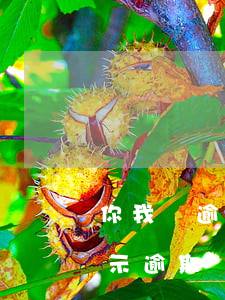 你我貸逾期凍結支付寶(公積金貸款支付寶顯示逾期)