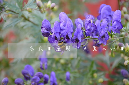你我貸逾期十天怎么把(貸款逾期10天)