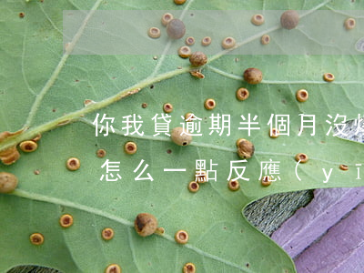 你我貸逾期半個月沒爆(你我貸逾期一年多了怎么一點反應(yīng)都沒有?)