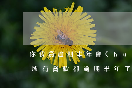 你我貸逾期半年會(huì)怎么樣(名下的所有貸款都逾期半年了會(huì)怎么樣)