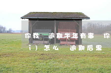 你我貸逾期半年有事嗎(你我貸逾期會(huì)怎么樣?逾期后果嚴(yán)重嗎?)